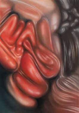 MORBID ORBIT 4 Pastellkreide auf Papier/soft pastels on paper 59,4 × 42 cm (A2) ©Anja Rausch 