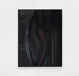 PRIMUS Pastellkreide auf Papier/soft pastels on paper 42 × 29,7 cm (A3) ©Anja Rausch 