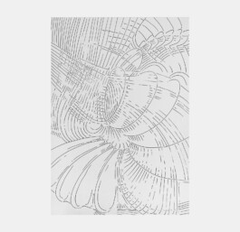 PT2402171754 Ink pen on paper/ Tuschestift auf Papier 59,4 × 42 cm 2024 ©Anja Rausch 