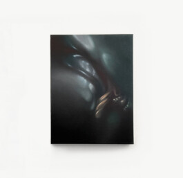 PARETO 80 Oil on canvas Öl auf Leinwand 40 × 30 cm  2023 