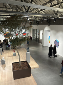 Anja Rausch — Massoumi 2025 — ©Anja Rausch