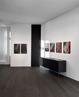 Anja Rausch — Massoumi 2025 — ©Anja Rausch