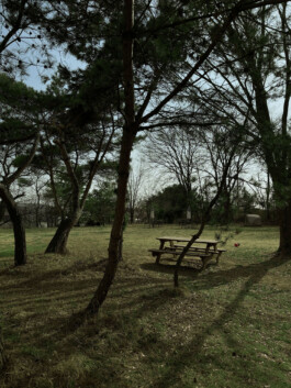 Anja Rausch — CICA–Nature 2025 ©Anja Rausch