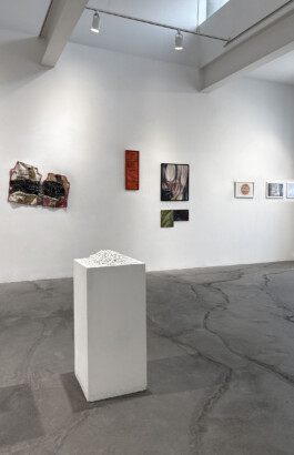 Anja Rausch — CICA–Nature 2025 ©Anja Rausch