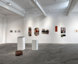 Anja Rausch — CICA–Nature 2025 ©Anja Rausch