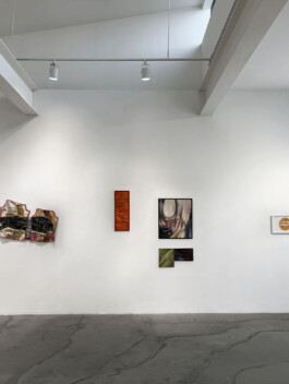 Anja Rausch — CICA–Nature 2025 ©Anja Rausch