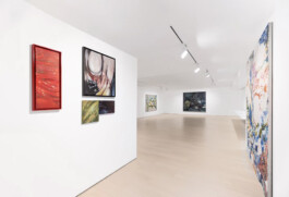 Anja Rausch — raygallery— 2025 — ©Anja Rausch