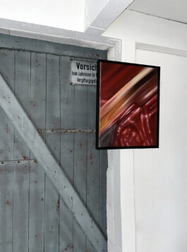 Anja Rausch — Originalpop — 2024 — ©Anja Rausch