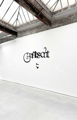 Anja Rausch — zfk Geflecht— 2025 — ©Anja Rausch