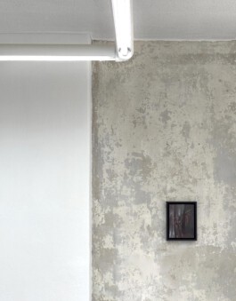 Anja Rausch — presence-by-proxy — 2025 — ©Anja Rausch