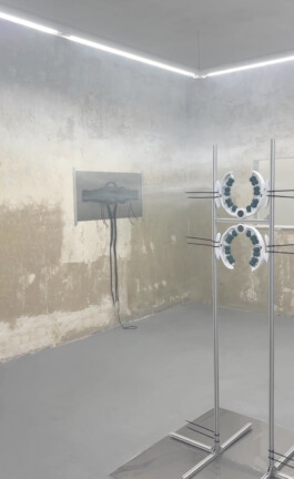 Anja Rausch — presence-by-proxy — 2025 — ©Anja Rausch