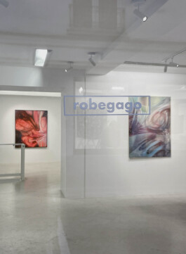 Anja Rausch — robegago— 2026 — ©Anja Rausch