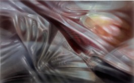 STIGMA Oil on canvas Öl auf Leinwand 50 × 80 cm  2026 