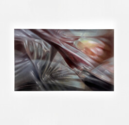 STIGMA Oil on canvas Öl auf Leinwand 50 × 80 cm  2026 