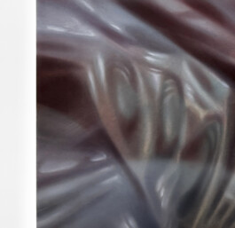 STIGMA Oil on canvas Öl auf Leinwand 50 × 80 cm  2026 