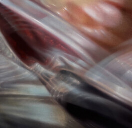 STIGMA Oil on canvas Öl auf Leinwand 50 × 80 cm  2026 