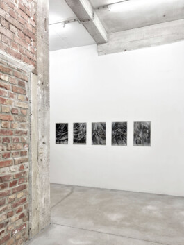 Anja Rausch — raw lemon— 2026 — ©Anja Rausch