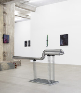 Anja Rausch — raw lemon— 2026 — ©Anja Rausch