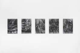 Anja Rausch — raw lemon— 2026 — ©Anja Rausch