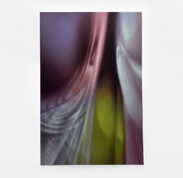 THORAX Oil on canvas Öl auf Leinwand 150 × 100 cm 2026 